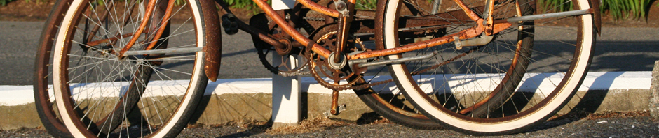 Travels with Matthew